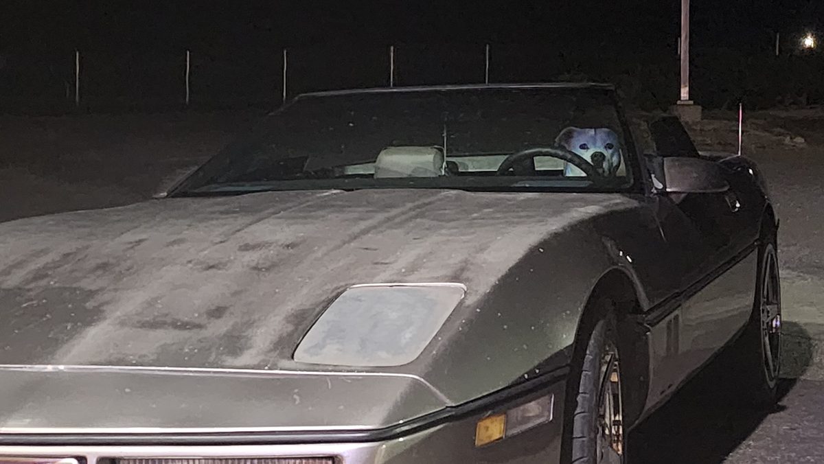 A silver classic Corvette parked in a garage at night