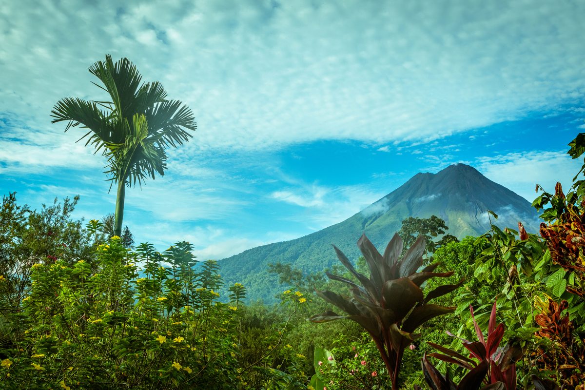 A palm tree and tropical plants framing a cone volcano under a bright blue sky in Costa Rica