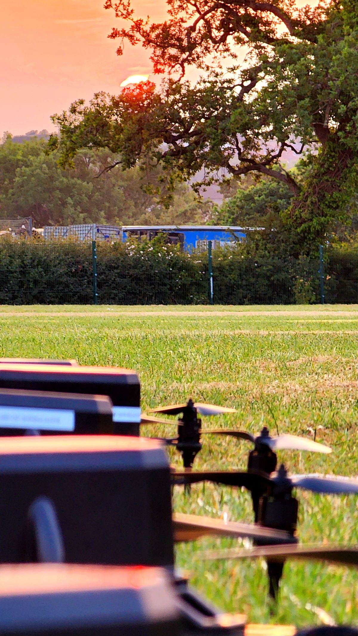 Rows of show drones on a grass field at sunset, seen from ground level