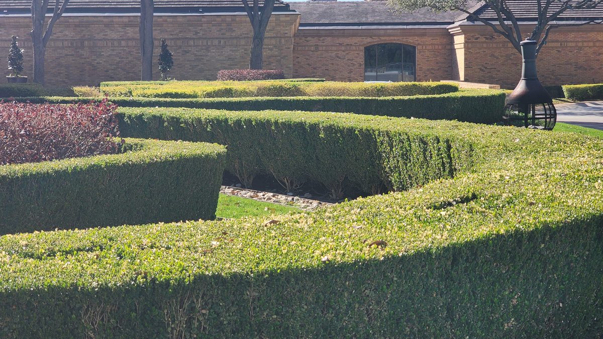 Neatly trimmed hedge garden beside a historic building