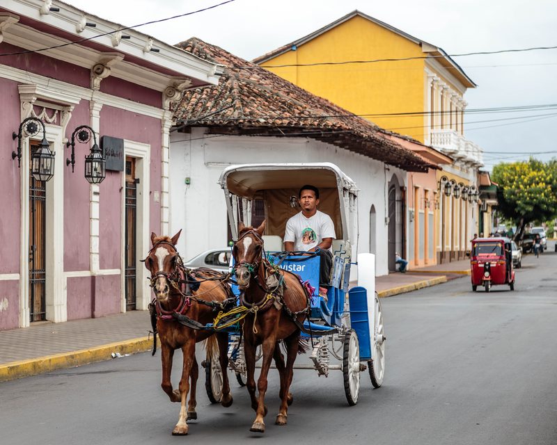A driver steers a two-horse carriage down a street lined with pink and yellow colonial buildings.