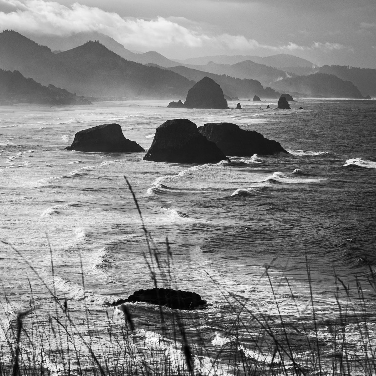 Black-and-white photo of sea stacks, crashing surf and beach grass on a misty coast