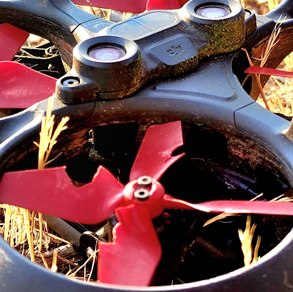 Close-up of a show drone's red propeller resting in dry grass