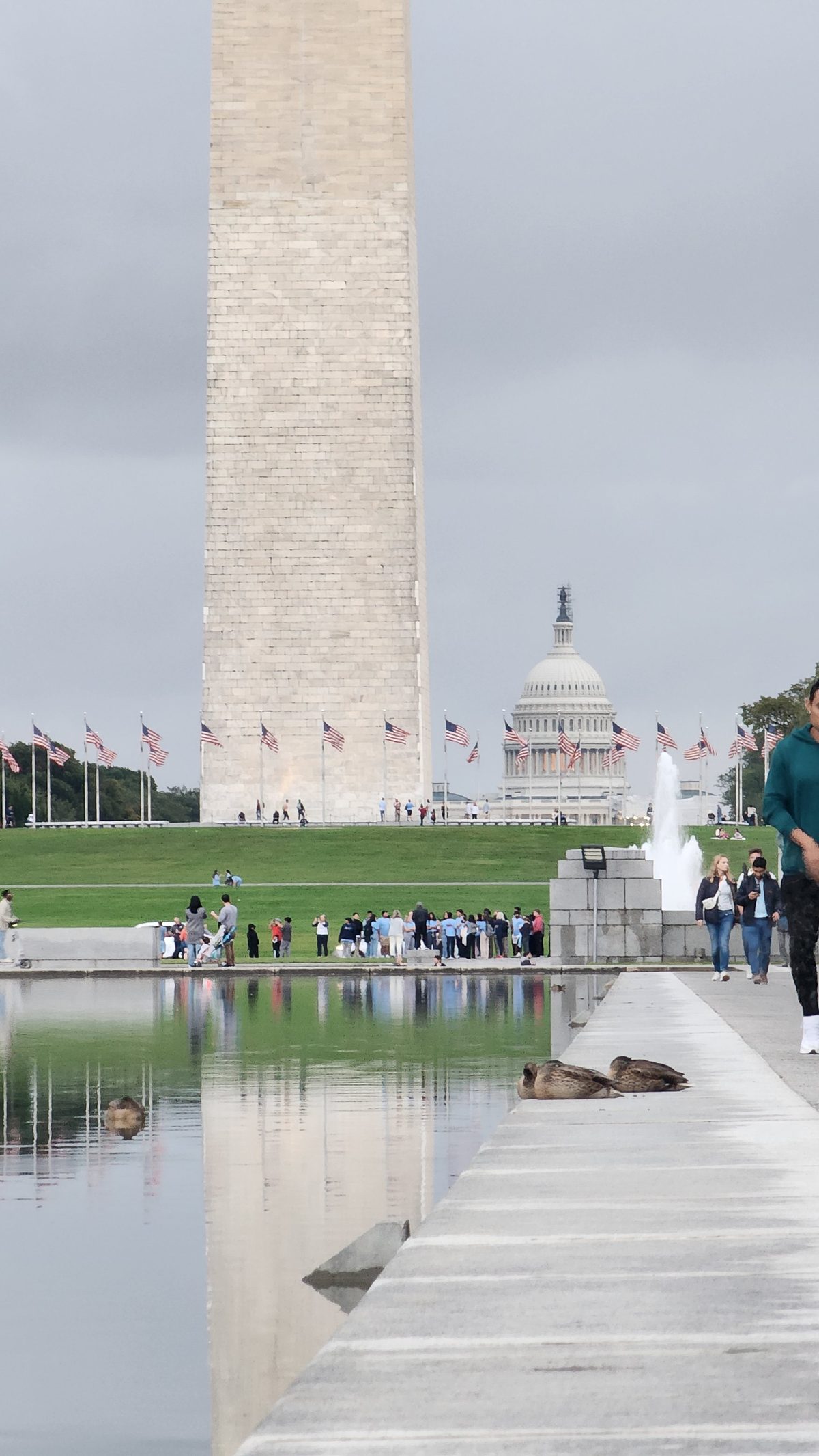 The Washington Monument with the U.S. Capitol dome behind, seen across the reflecting pool